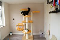 2 weeks ago this scratcher has been delivered. Our cats LOVE it and so do we!! It's a fantastic scratcher with SUPER quality!! For sure we'll order again!!